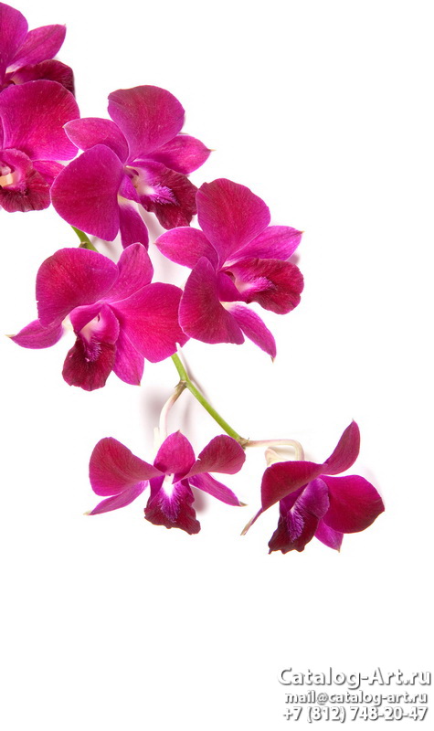 Натяжные потолки с фотопечатью - Розовые орхидеи 42
